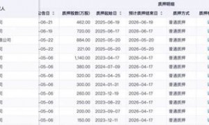 恩捷股份上半年预亏近亿元，实控人涉高质押风险