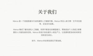 忘掉 Manus 的华人背景