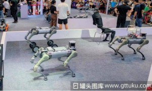 130亿宇树科技冲刺IPO，谁与王兴兴共享资本盛宴？