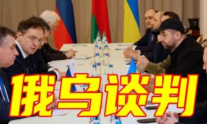乌克兰停止与俄罗斯谈判，谈了好几轮，啥实际成果都没捞着
