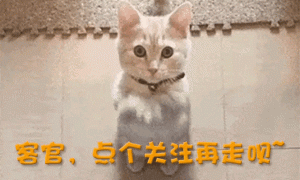 多次拒绝赵本山，凭一己之力改春晚基调的哈文，如今下场毫不意外